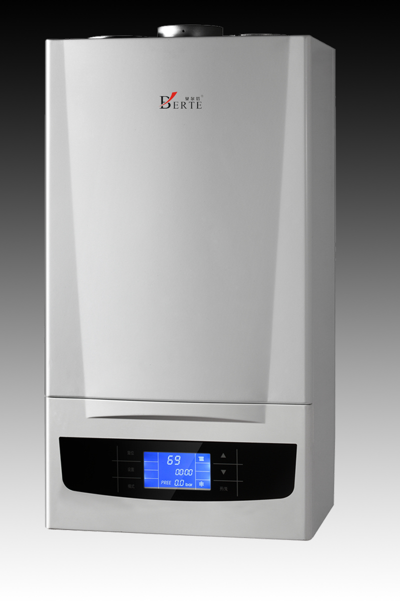 1556239878690736.jpg 貝爾塔3.jpg